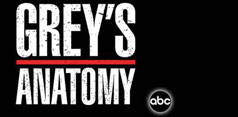 Anatomia lui Grey: Seria 4 Episodul 11 - Lay Your Hands on Me