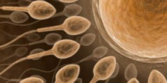 Infertilitatea Privita Dintr-un Alt Unghi